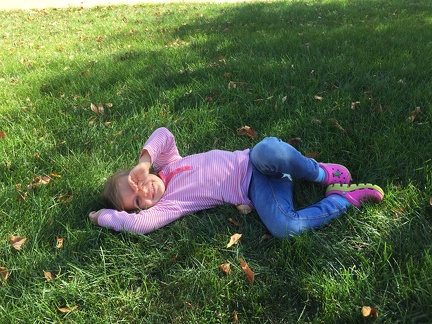 Beautiful day in the grass2